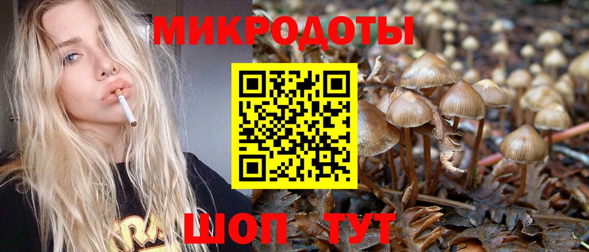 Галлюциногенные грибы мицелий  Вход с VPN  Сунжа 