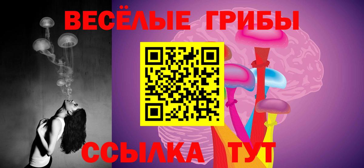 Псилоцибиновые грибы GOLDEN TEACHER Сунжа